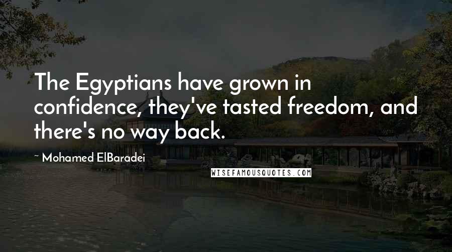 Mohamed ElBaradei Quotes: The Egyptians have grown in confidence, they've tasted freedom, and there's no way back.