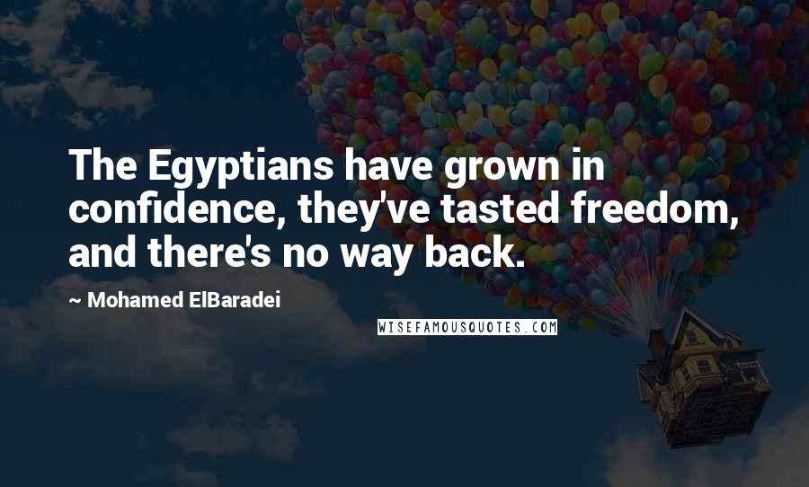 Mohamed ElBaradei Quotes: The Egyptians have grown in confidence, they've tasted freedom, and there's no way back.