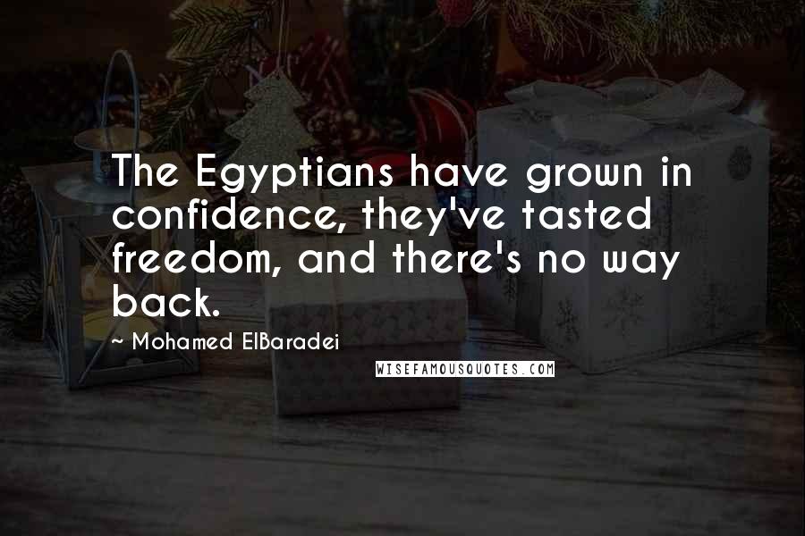 Mohamed ElBaradei Quotes: The Egyptians have grown in confidence, they've tasted freedom, and there's no way back.