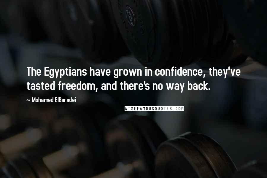 Mohamed ElBaradei Quotes: The Egyptians have grown in confidence, they've tasted freedom, and there's no way back.