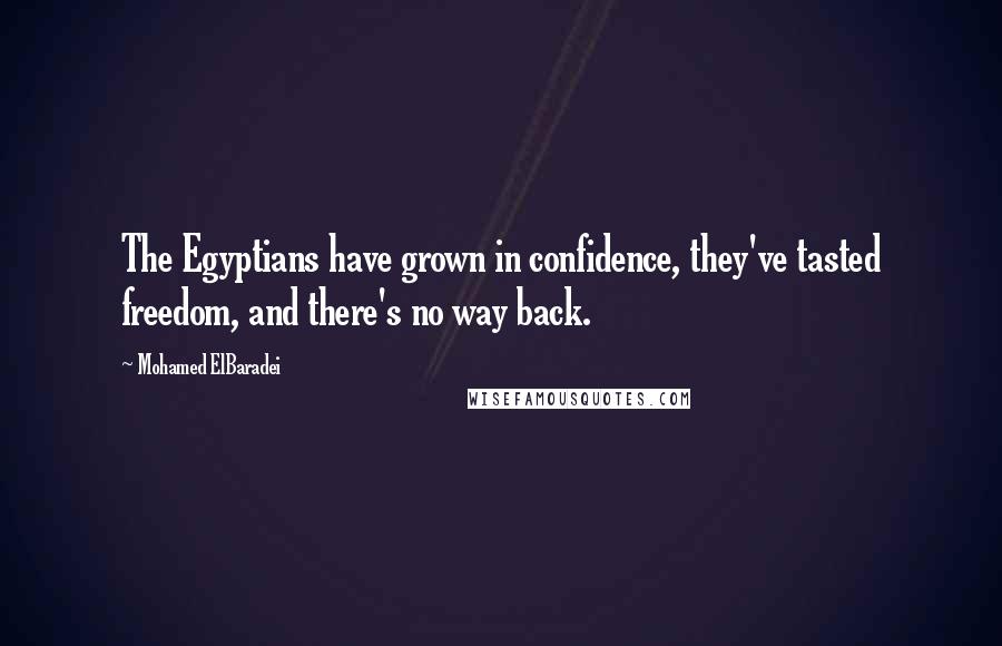 Mohamed ElBaradei Quotes: The Egyptians have grown in confidence, they've tasted freedom, and there's no way back.