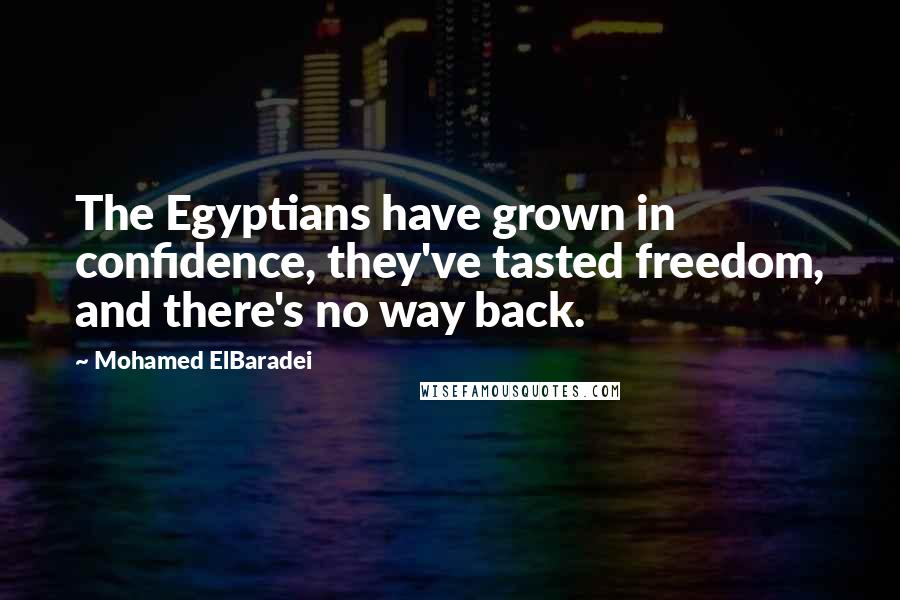 Mohamed ElBaradei Quotes: The Egyptians have grown in confidence, they've tasted freedom, and there's no way back.