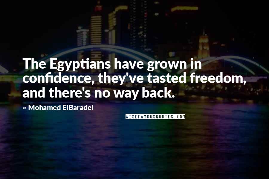 Mohamed ElBaradei Quotes: The Egyptians have grown in confidence, they've tasted freedom, and there's no way back.