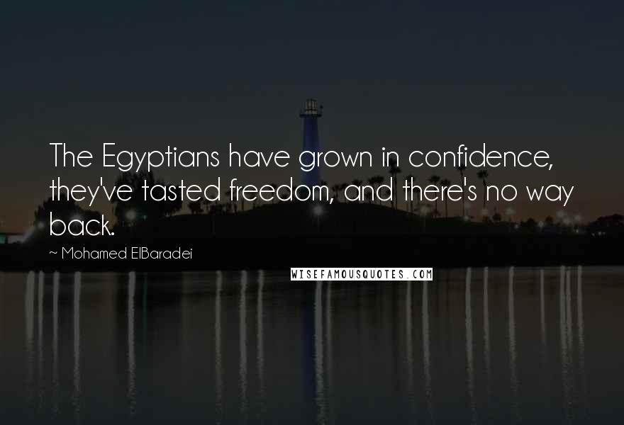 Mohamed ElBaradei Quotes: The Egyptians have grown in confidence, they've tasted freedom, and there's no way back.