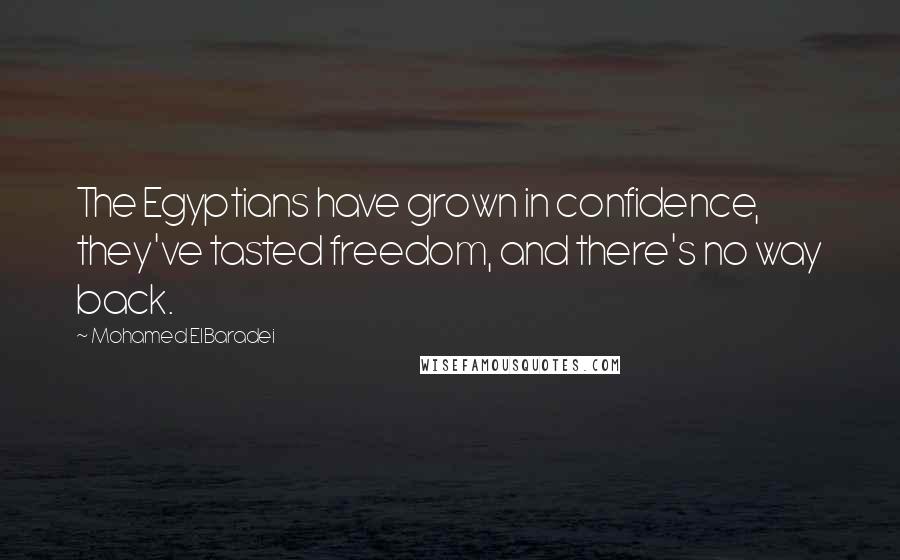 Mohamed ElBaradei Quotes: The Egyptians have grown in confidence, they've tasted freedom, and there's no way back.