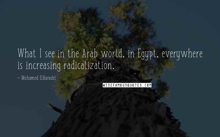 Mohamed ElBaradei Quotes: What I see in the Arab world, in Egypt, everywhere is increasing radicalization.