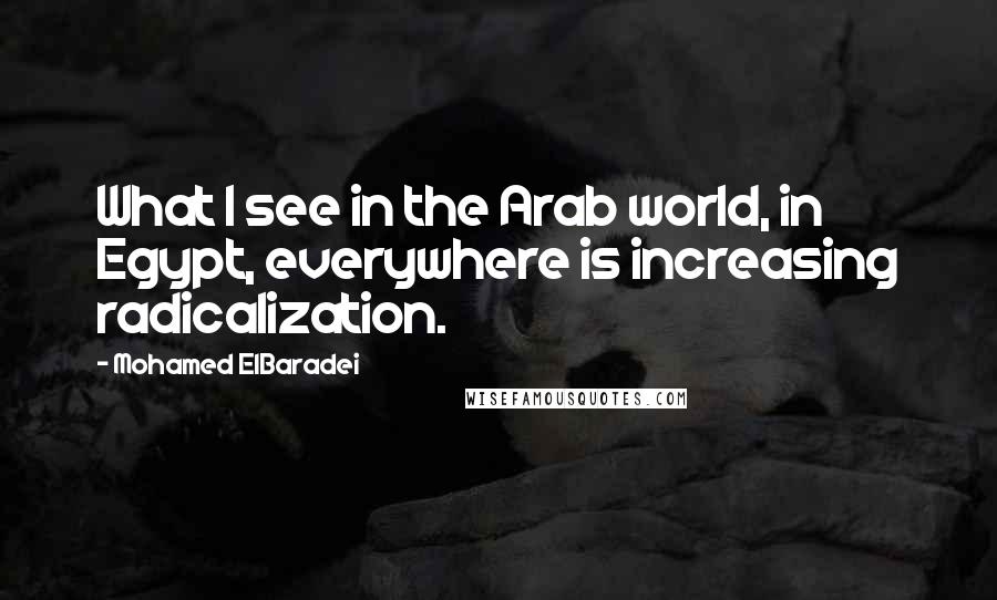 Mohamed ElBaradei Quotes: What I see in the Arab world, in Egypt, everywhere is increasing radicalization.