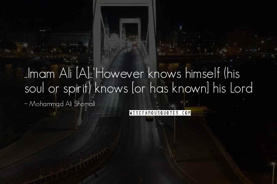 Mohammad Ali Shomali Quotes: ..Imam Ali [A]..'However knows himself (his soul or spirit) knows [or has known] his Lord