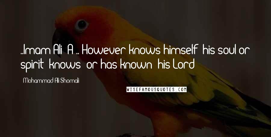 Mohammad Ali Shomali Quotes: ..Imam Ali [A]..'However knows himself (his soul or spirit) knows [or has known] his Lord
