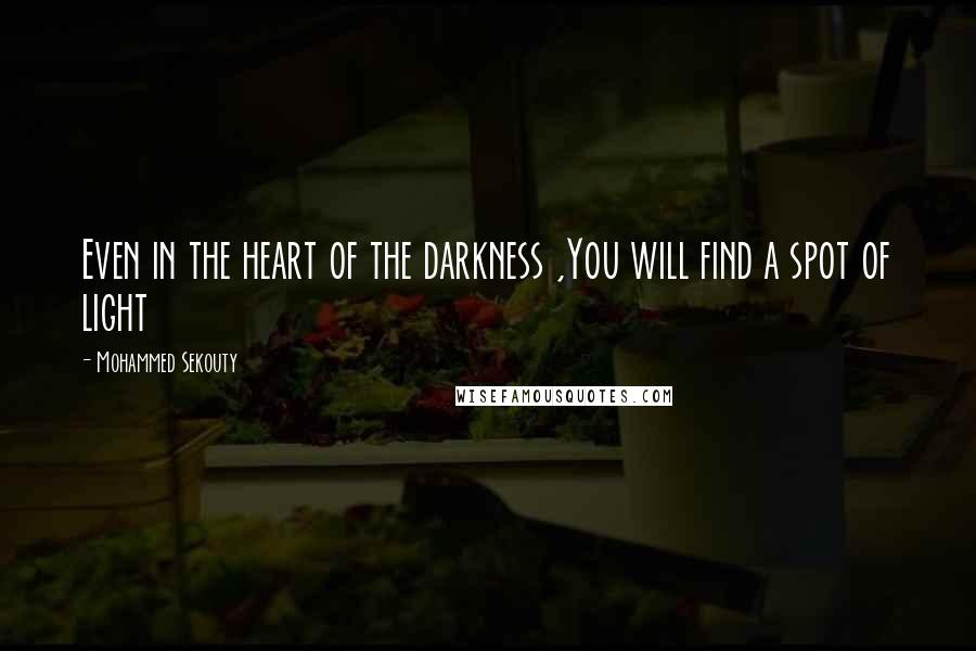 Mohammed Sekouty Quotes: Even in the heart of the darkness ,You will find a spot of light