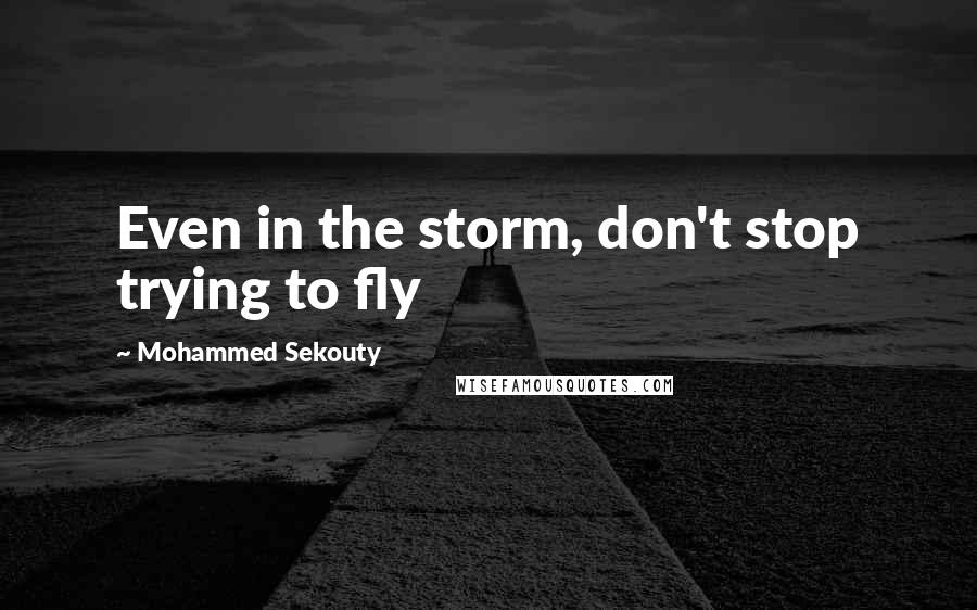 Mohammed Sekouty Quotes: Even in the storm, don't stop trying to fly