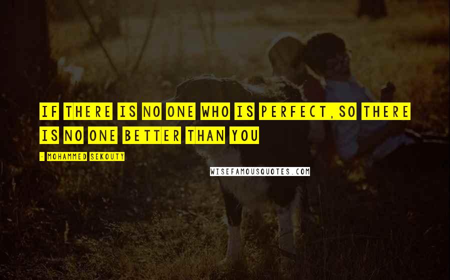 Mohammed Sekouty Quotes: If there is no one who is perfect,So there is no one better than you