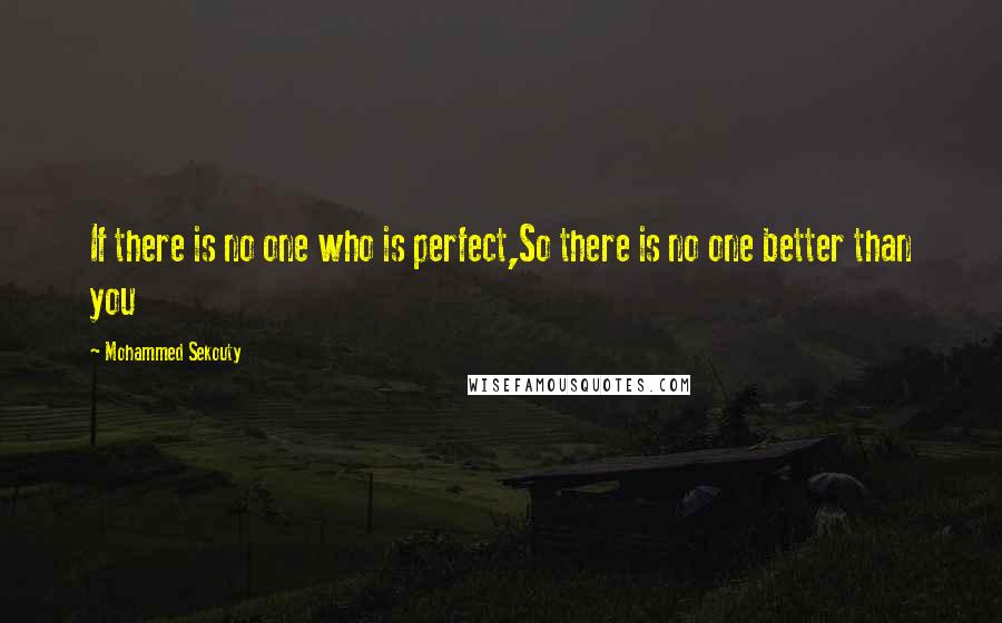 Mohammed Sekouty Quotes: If there is no one who is perfect,So there is no one better than you