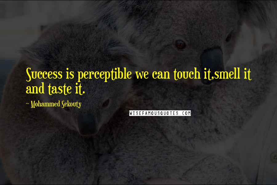 Mohammed Sekouty Quotes: Success is perceptible we can touch it,smell it and taste it.