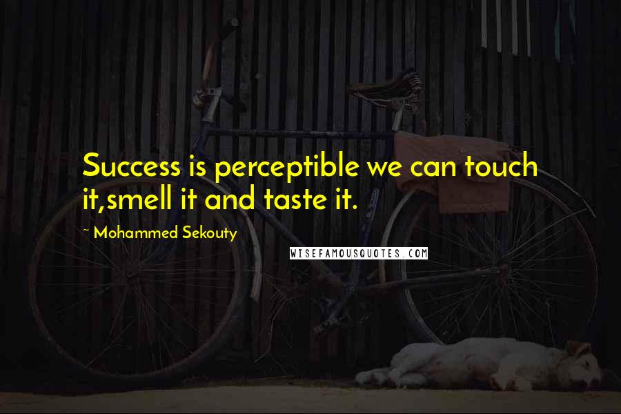 Mohammed Sekouty Quotes: Success is perceptible we can touch it,smell it and taste it.