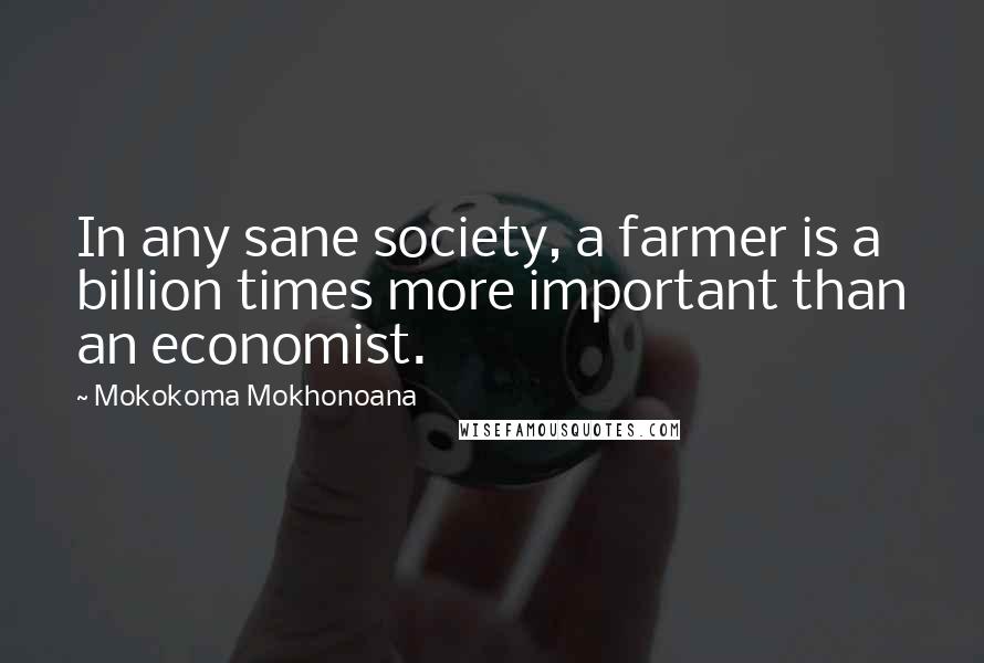 Mokokoma Mokhonoana Quotes: In any sane society, a farmer is a billion times more important than an economist.