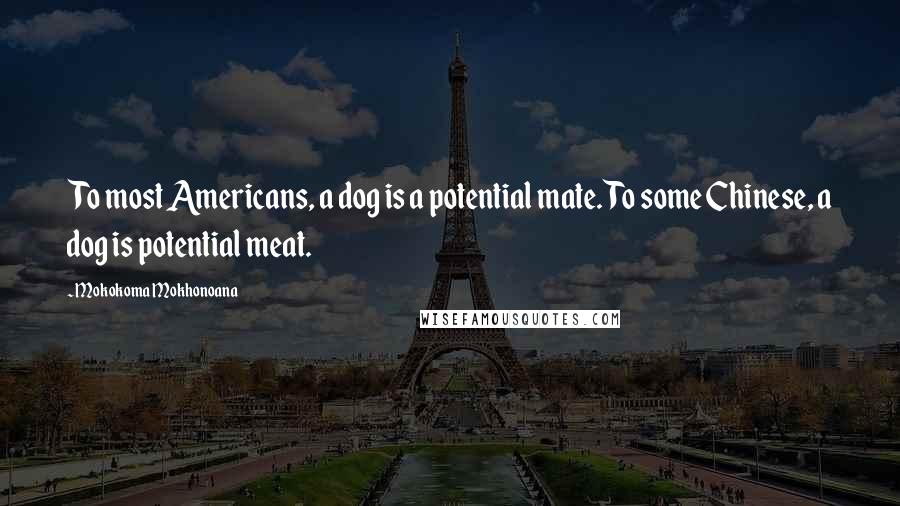 Mokokoma Mokhonoana Quotes: To most Americans, a dog is a potential mate. To some Chinese, a dog is potential meat.