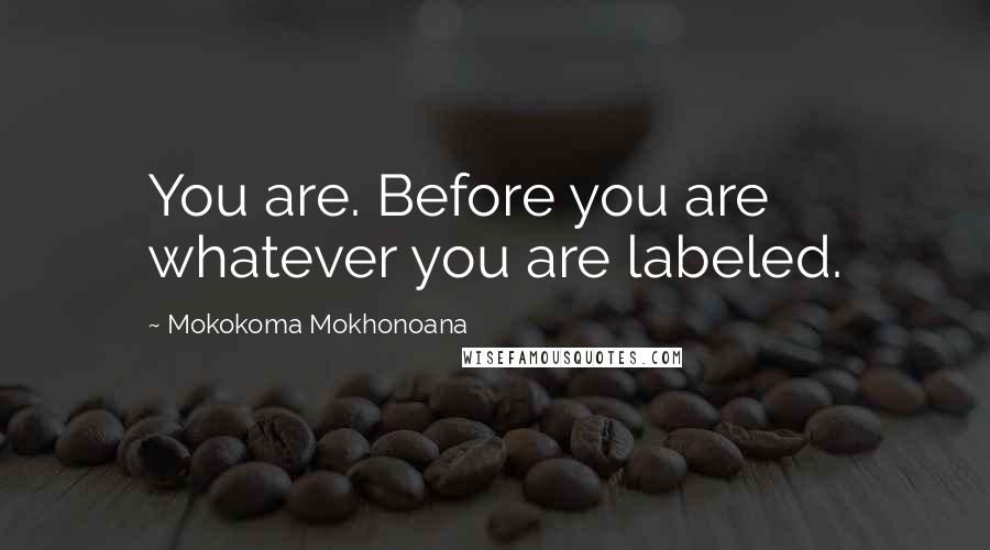 Mokokoma Mokhonoana Quotes: You are. Before you are whatever you are labeled.