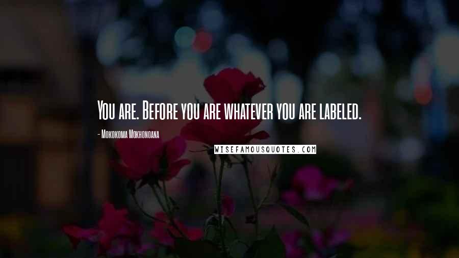 Mokokoma Mokhonoana Quotes: You are. Before you are whatever you are labeled.