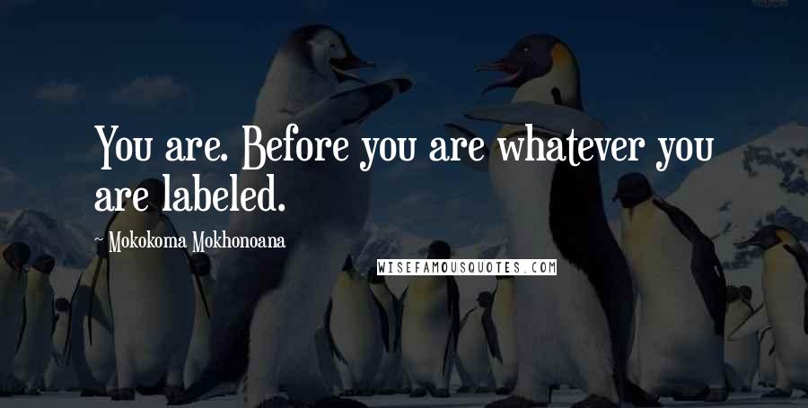 Mokokoma Mokhonoana Quotes: You are. Before you are whatever you are labeled.