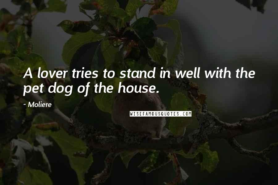 Moliere Quotes: A lover tries to stand in well with the pet dog of the house.