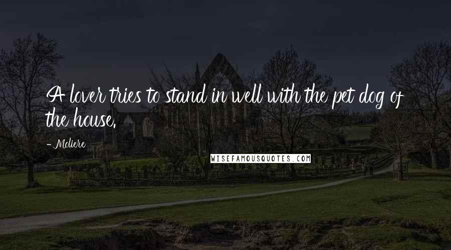 Moliere Quotes: A lover tries to stand in well with the pet dog of the house.