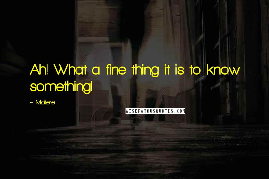 Moliere Quotes: Ah! What a fine thing it is to know something!