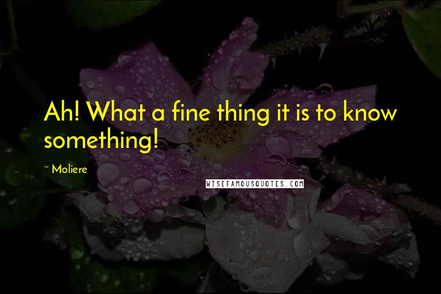 Moliere Quotes: Ah! What a fine thing it is to know something!
