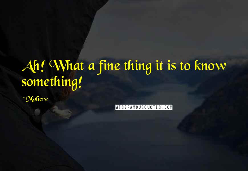 Moliere Quotes: Ah! What a fine thing it is to know something!