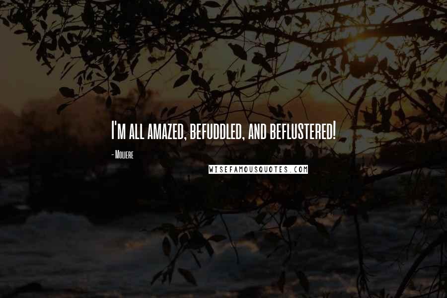 Moliere Quotes: I'm all amazed, befuddled, and beflustered!