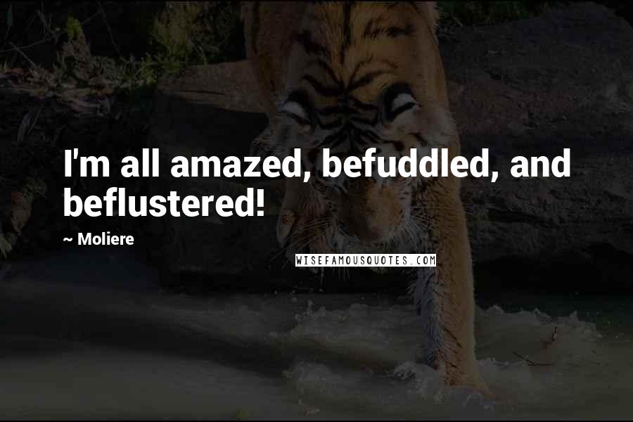 Moliere Quotes: I'm all amazed, befuddled, and beflustered!