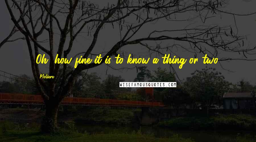 Moliere Quotes: Oh, how fine it is to know a thing or two.