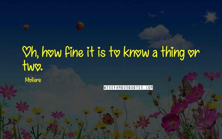 Moliere Quotes: Oh, how fine it is to know a thing or two.