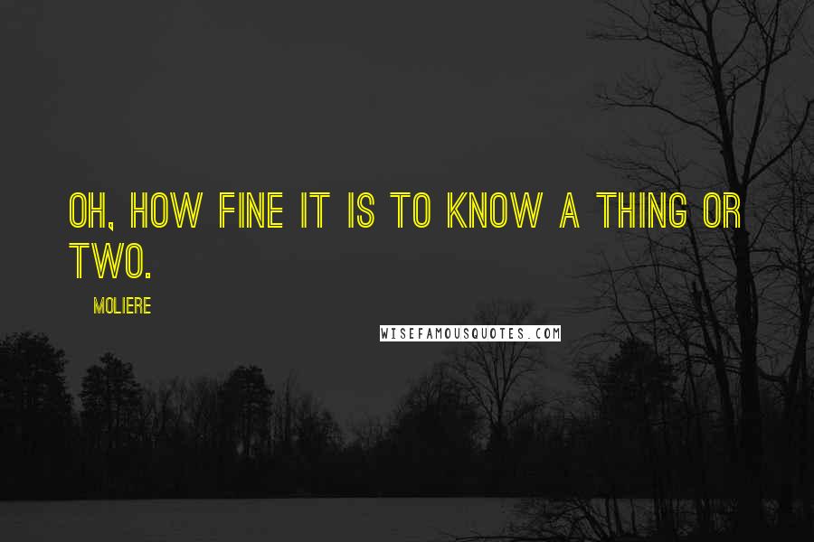 Moliere Quotes: Oh, how fine it is to know a thing or two.