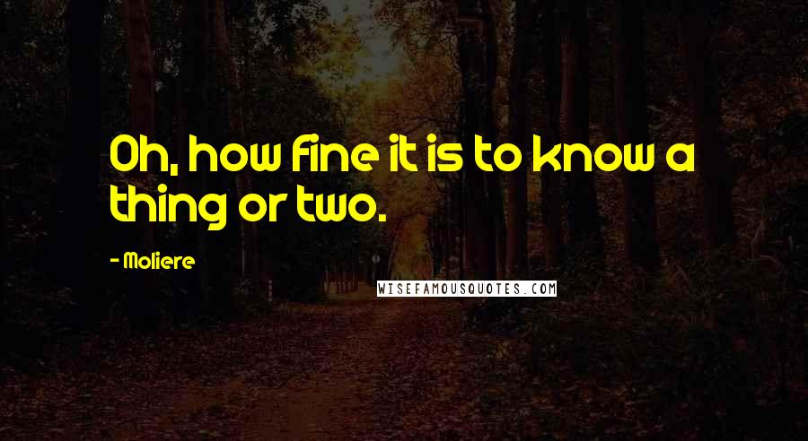 Moliere Quotes: Oh, how fine it is to know a thing or two.