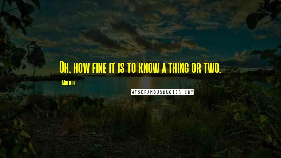 Moliere Quotes: Oh, how fine it is to know a thing or two.