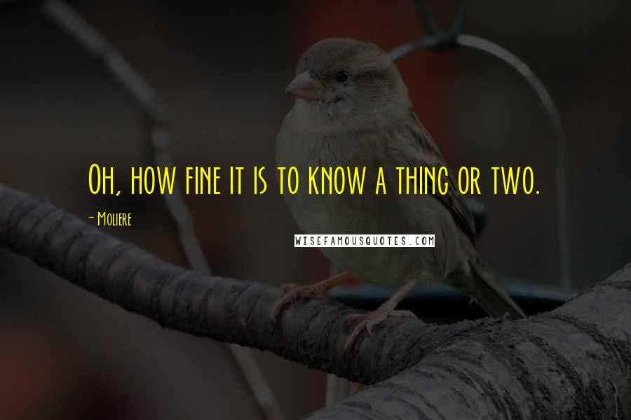 Moliere Quotes: Oh, how fine it is to know a thing or two.