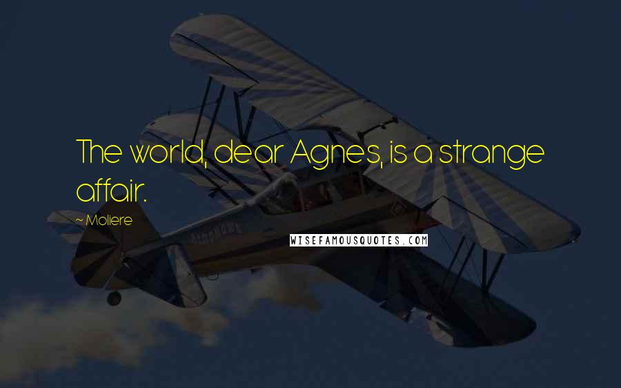 Moliere Quotes: The world, dear Agnes, is a strange affair.