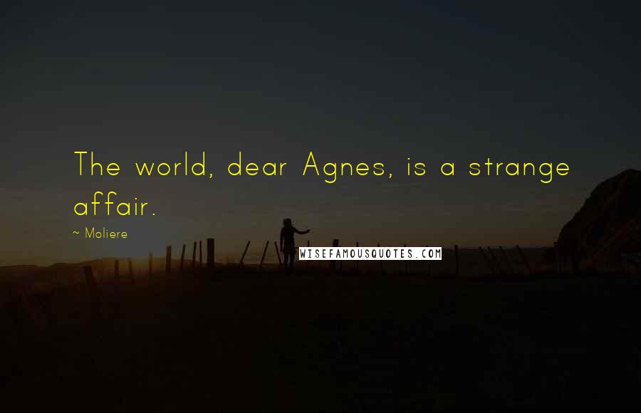 Moliere Quotes: The world, dear Agnes, is a strange affair.