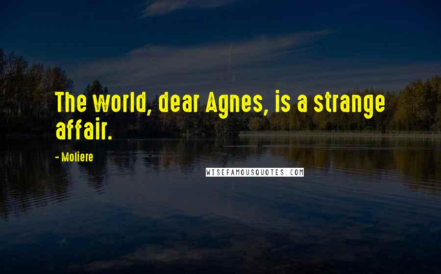 Moliere Quotes: The world, dear Agnes, is a strange affair.