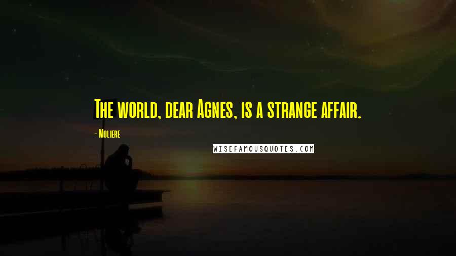 Moliere Quotes: The world, dear Agnes, is a strange affair.