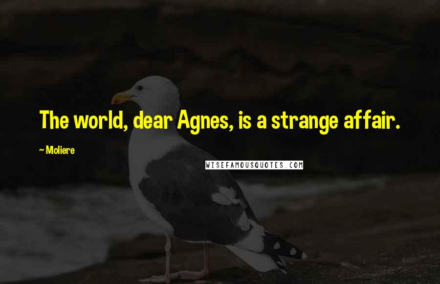 Moliere Quotes: The world, dear Agnes, is a strange affair.