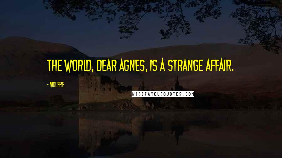 Moliere Quotes: The world, dear Agnes, is a strange affair.