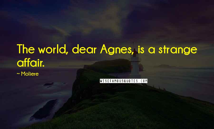 Moliere Quotes: The world, dear Agnes, is a strange affair.