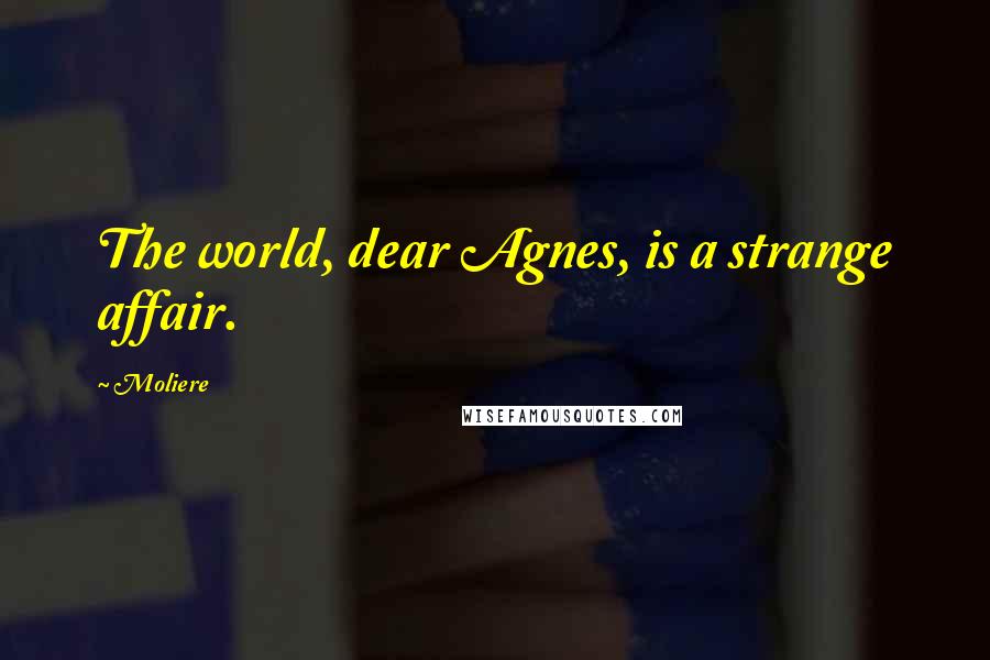 Moliere Quotes: The world, dear Agnes, is a strange affair.