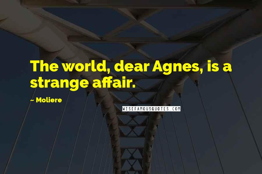 Moliere Quotes: The world, dear Agnes, is a strange affair.