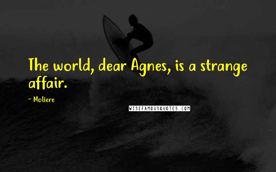 Moliere Quotes: The world, dear Agnes, is a strange affair.