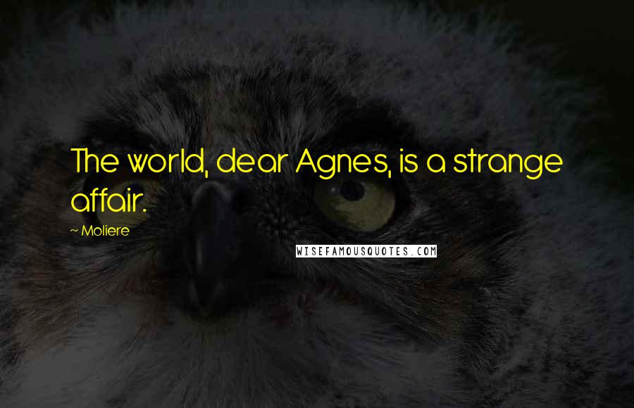 Moliere Quotes: The world, dear Agnes, is a strange affair.