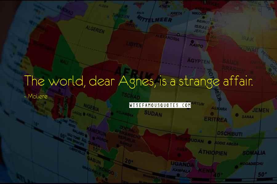 Moliere Quotes: The world, dear Agnes, is a strange affair.