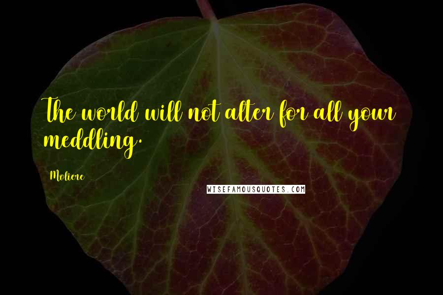 Moliere Quotes: The world will not alter for all your meddling.